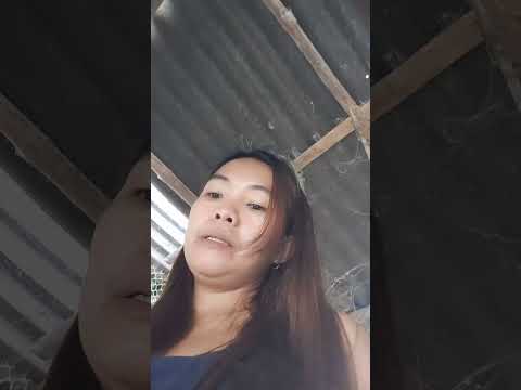 Walang Itlog Pang Laga Or Prito Di Problima Yan Viralvideo