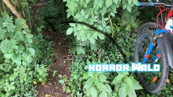 Wir waren in diesem Horrorwald und dann passiert das ￼(Gruselig) (Vlog# 3) #vlog