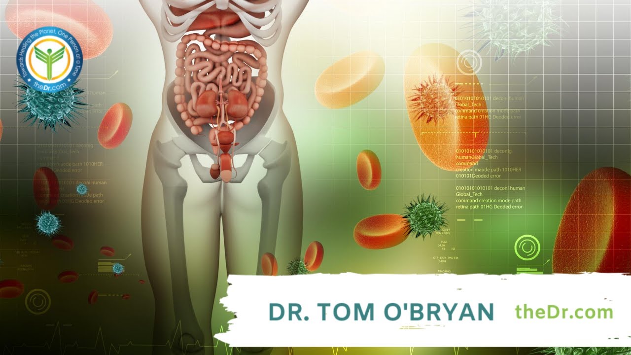 How Long Does It Take to Heal Leaky Gut? with Dr. Tom O'Bryan and Michelle Ross. - YouTube
