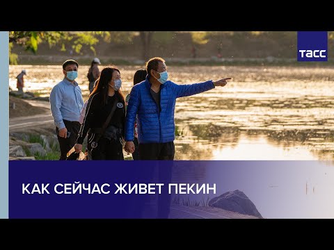 Video: Пекин кызына кантип ат коюуга болот