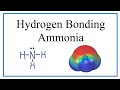 Hydrogen Bonding in Ammonia
