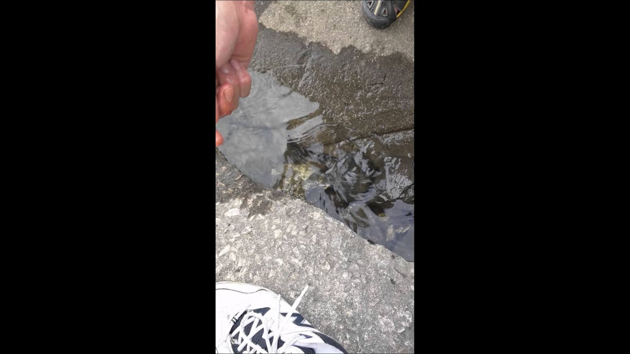 Eel Fishing w/ Hand Line Delaware River Philly YouTube