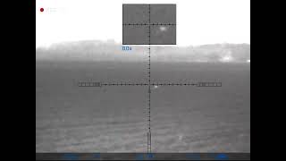 Fox Hunting Cal 243 Win.