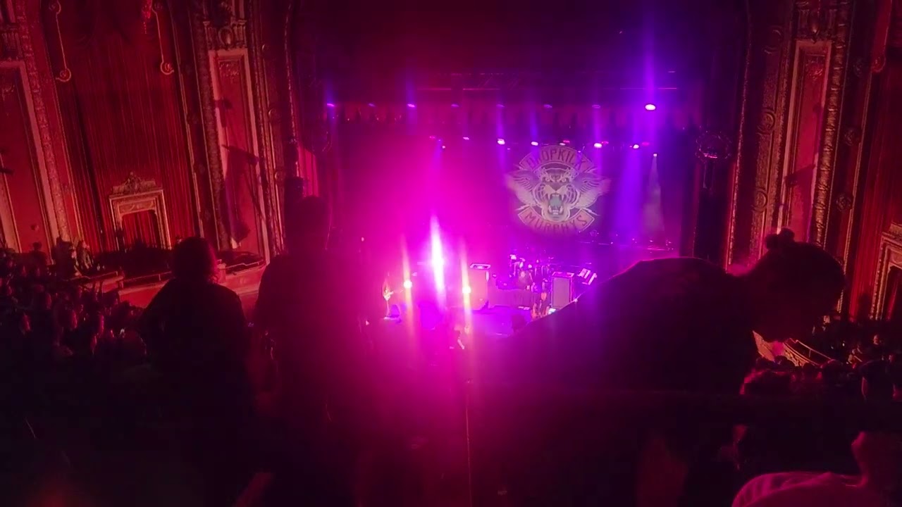 Cadence To Arms Boys Are Back [Dropkick Murphys Live in Milwaukee 10.22.2024