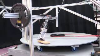Computerized Artificial Legs Mimic Natural Gait