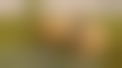 Varmint Hunting Video Clips from Varminter.com - Part One