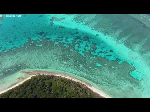 'The Great Barrier