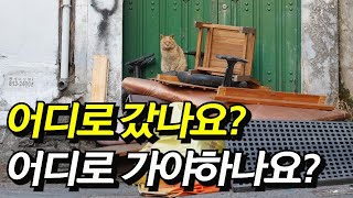 [4K] 사람들 모두 떠난 재개발 지역 빈집 앞에 앉아있는 길고양이는 누구를 기다리는걸까? (Ep.1) by 묘통령 Cat President 2,340 views 1 year ago 10 minutes, 30 seconds