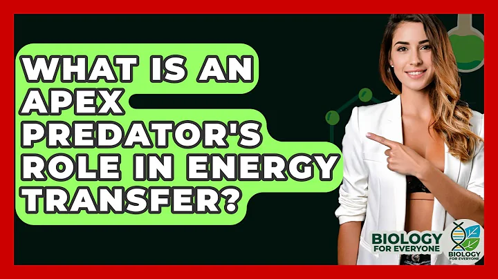 What Is An Apex Predator's Role In Energy Transfer? - Biology For Everyone