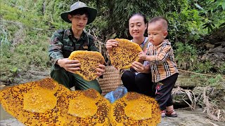 A single mother went to the forest to pick medicine and was given honey by a strange man- anh hmong