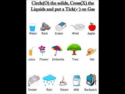 science worksheets for kindergarten youtube