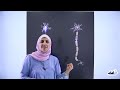 أول ثانوي الحصة الأولى من مادة الأحياء الجهاز العصبي
