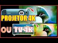 Qual a melhor escolha um projetor 4k ou uma tv 4k 2021 geek129