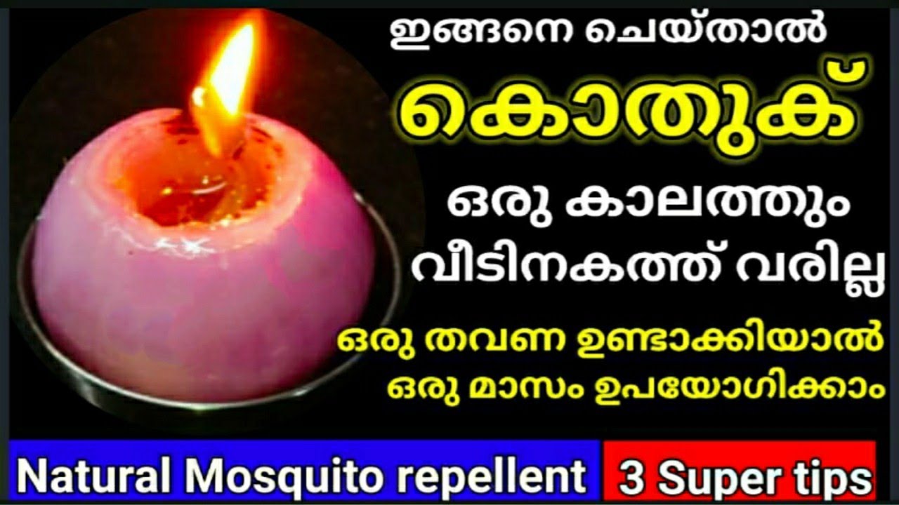 വീടിനകത്ത്‌ ഒരു കൊതുക് പോലും വരില്ല, ഉള്ള കൊതുകുകൾ വരെ പമ്പ കടക്കും||Kothukine thurathan malayalam