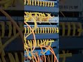 small Network #access #switch #managed #power #rack #network #cable #managed