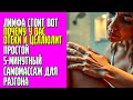 ЛИМФА СТОИТ Вот почему у вас отеки и целлюлит Простой 5-минутный самомассаж для разгона