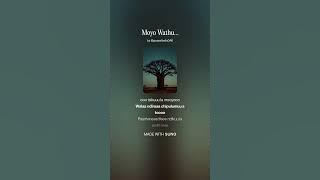 Moyo Wathu… 2