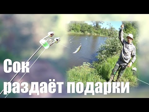 Рыбалка в Самаре. Река Сок. Верхняя Солонцовка.