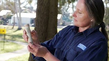 Upper Murrumbidgee Waterwatch Volunteer Video 9 - Electrical Conductivity   Brown Eutech EC Testr 11