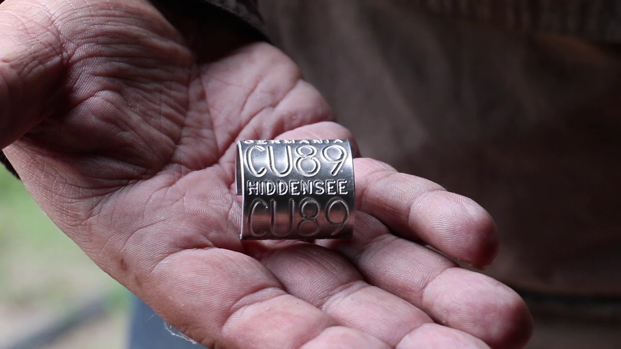 Beringung der Störche in Rühstädt