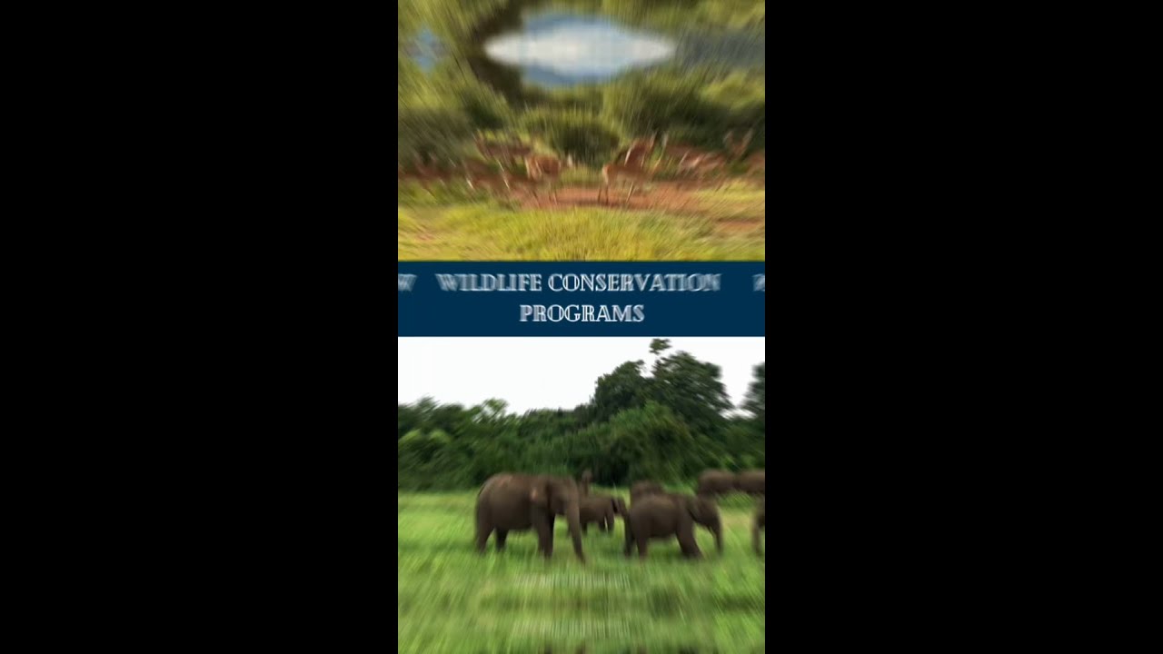 Wildlife Conservation Programs