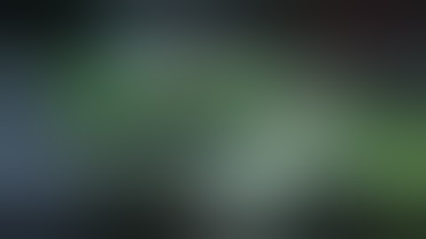 Ninja’s Creed Gameplay Walkthrough (Android, iOS) - Part 2#GAMElEVEl20 Assassin