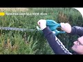 Avis Consommateur : Taille-haie électrique 450W 45cm | Castorama
