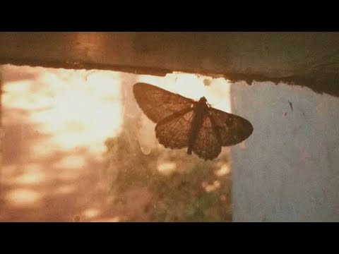 End of summer playlist | Club Carter Radio #28