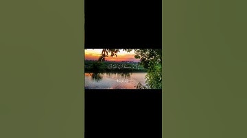ياسر الدوسري | سورة التوبة | #قران_كريم #راحة_نفسية