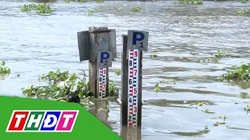 Bão Bualoi khiến lũ Đồng bằng sông Cửu Long đạt đỉnh năm 2025 | THDT