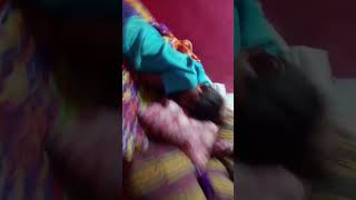 WWE SmackDown Fight