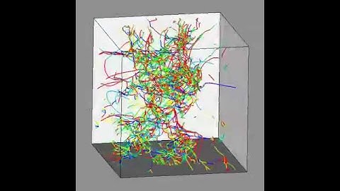 Microstructure Patter Formation in Ni Single Crystals - movie2
