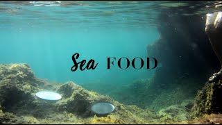 Rosenthal Junto Sea Food