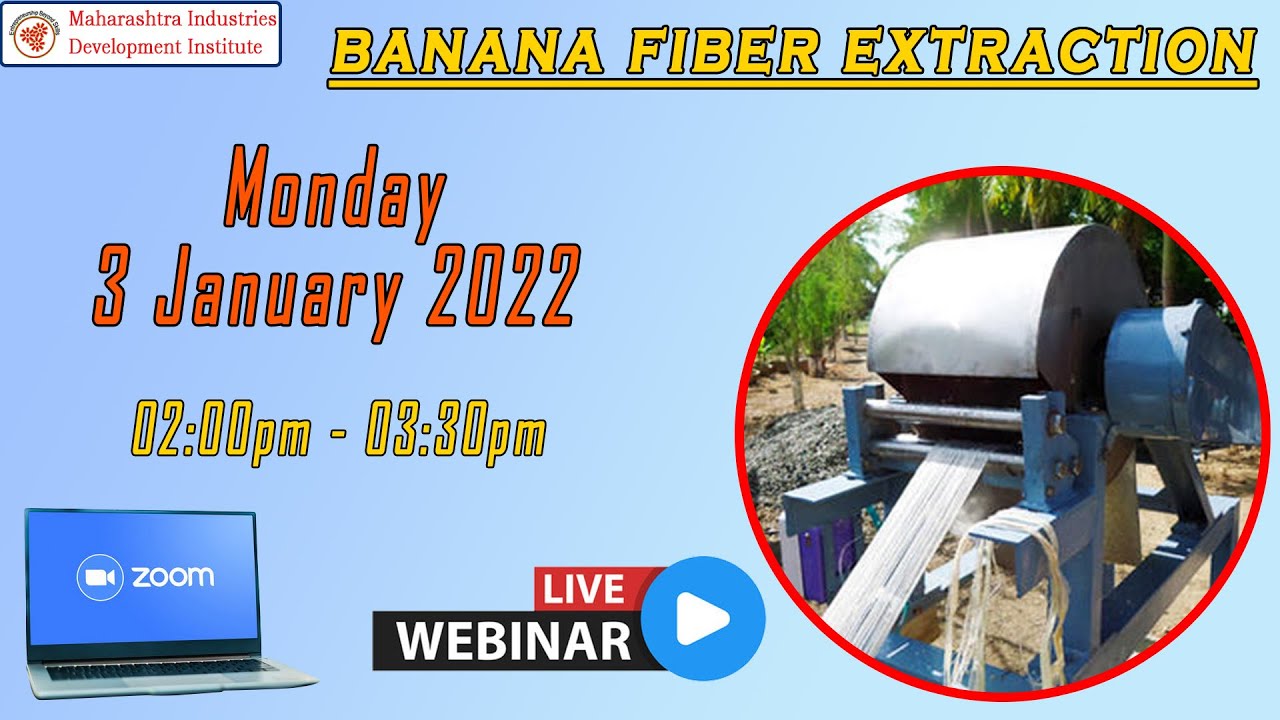 Banana Fiber Extraction YouTube