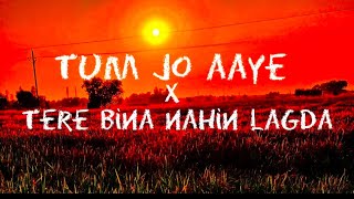 tum jo aaye x tere bina nahin lagda full song | remix | (lyrics) instgram trending | Lyrical Album Thumb