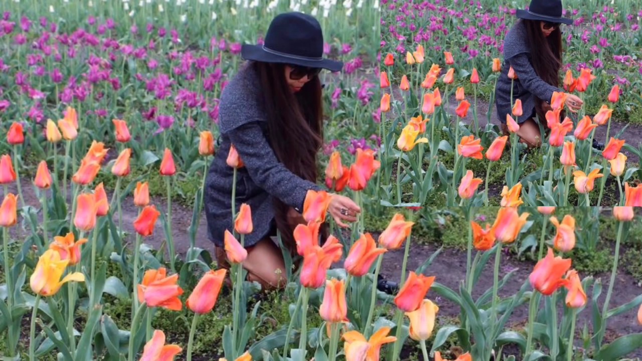 Tulips Festival In Holland |Pure Michigan | Picture | with my girlfriends