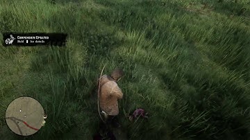 Red Dead Redemption 2 (PS4) - Story Mode - Chapter 1 & 2 Re-Do Part 4