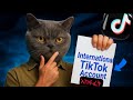 በቀላሉ ከፍታችሁ ተከፋይ መሆን ትችላላችሁ International Tiktok Accountአከፋፈት How Creat Intrenational Tiktok Account