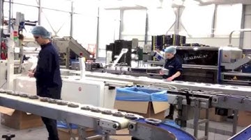 Sorting blueberries on a production line