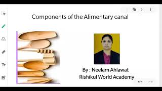 Lecture 2,ch 16 ,Digestion and Absorbtion, (Class11) Biology, 31/03/20