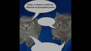 Томас, Я Немного Озабочен Обвалом На Фондовом Рынке