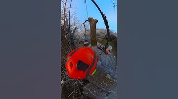 Tree crane picks. #treework #arbortec #arborist #chainsaw