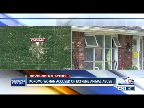 Kokomo woman accused of extreme animal abuse