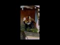 【2021/12/25】野毛山動物園の賢健さん(♂)③→Red Panda &quot;Kenken&quot;-Yokohama Nogeyama Zoo(In Dec of 2021)