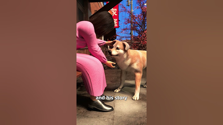 Dog Waited Ten Years For His Owner 😢