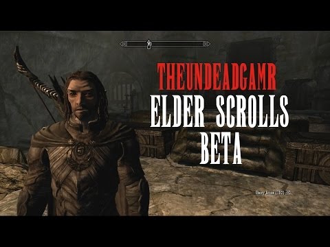 Elder Scrolls Online Beta & Future of Elder Scrolls