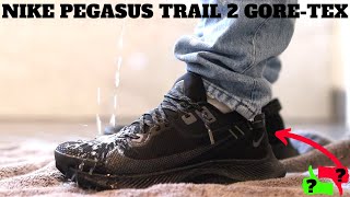 nike pegasus trail gore tex review