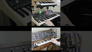 "Interstellar Runes" #Minimoog #MoogMavis #BeatBuddy #JREMUSIC