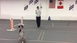 Winnie lap turns, first try