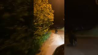Car Driver Came Across a Running Bear While Driving Around